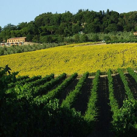 Bio Agriturismo Il Torrione Villa Saturnia Exterior photo