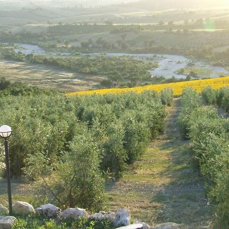 Bio Agriturismo Il Torrione Villa Saturnia Exterior photo